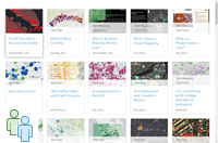 Minimal Gallery group app Minimal Gallery group app